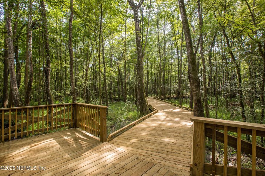 Natural landscape and outdoor views near Shearwater in St. Augustine (Image 51).