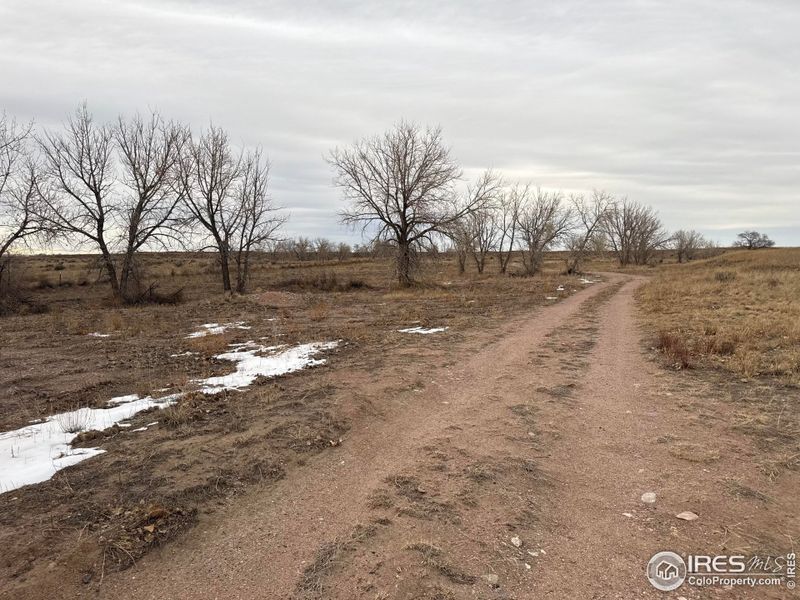 Site preparation for new homesites in , Nunn (Image 24).