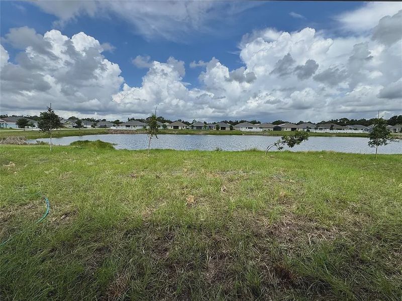 Natural landscape and outdoor views near Watercress Cove in North Port (Image 15). Natural landscape and outdoor views near Watercress Cove in North Port (Image 15).