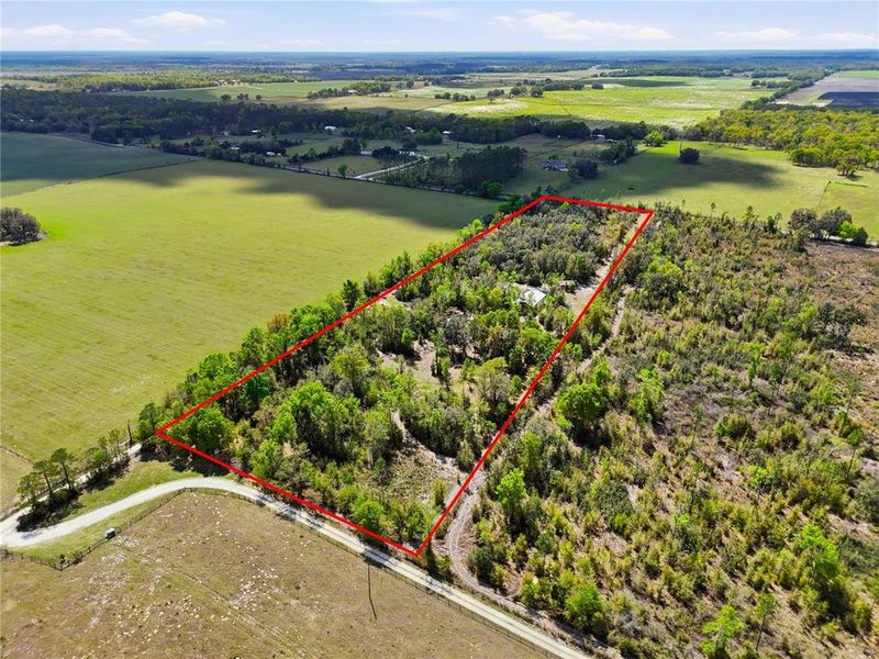 Natural landscape and outdoor views near  in Newberry (Image 34).