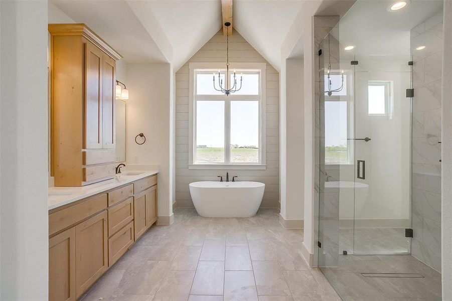 Full bath featuring a shower stall, a freestanding tub, vanity, and a healthy amount of sunlight