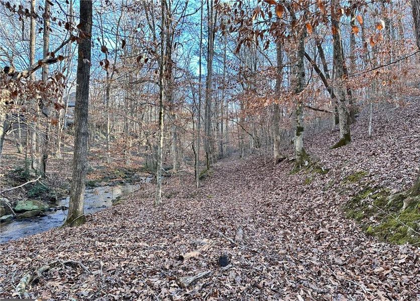 Natural landscape and outdoor views near  in Cumming (Image 5).