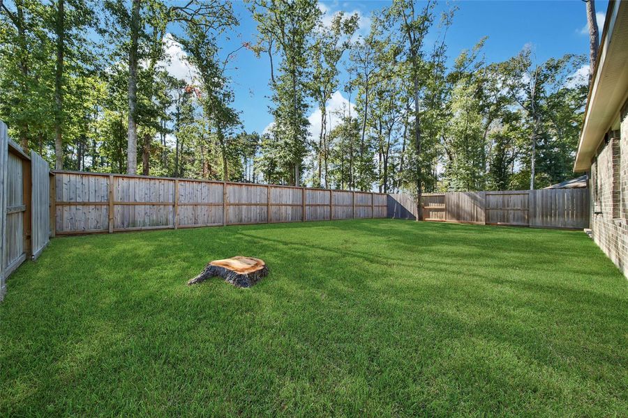 Exterior details and patio area of a home in The Highlands: Richmond Collections, Porter (Image 22).