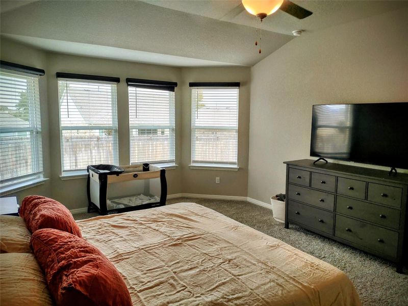 Bedroom featuring lofted ceiling, ceiling fan, and carpet