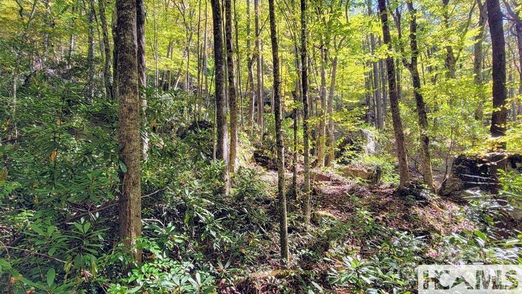 Image 15 of a home in . Image 15 of a home in .