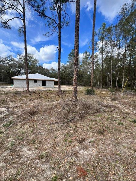 Natural landscape and outdoor views near  in Ocklawaha (Image 20).