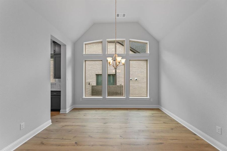 DAL_Painted Tree_Haskell II_4005 Gervais Drive (5)