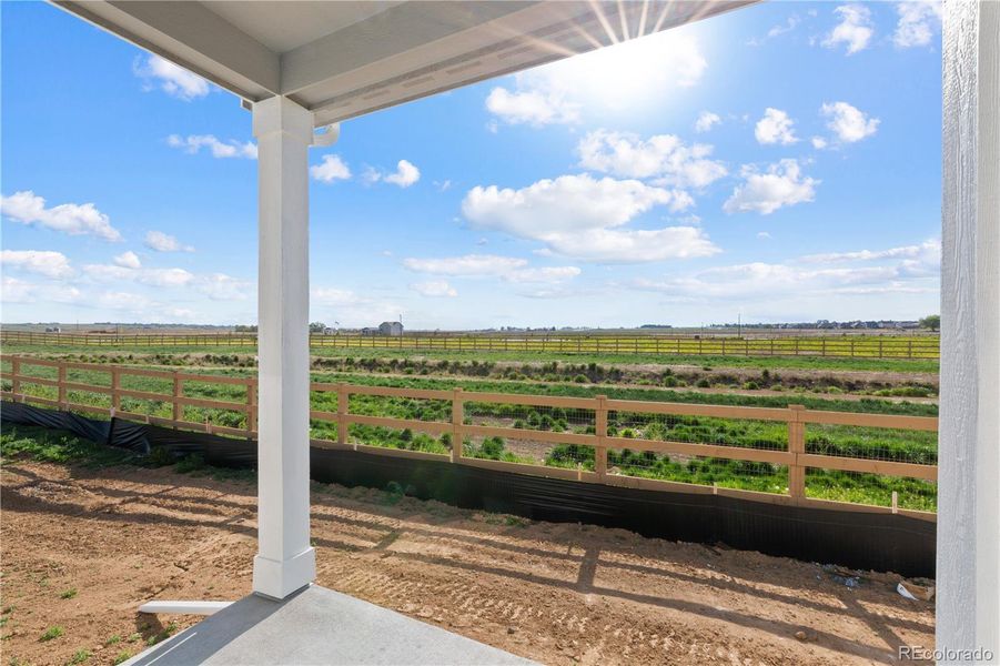 Exterior details and patio area of a home in Granary, Johnstown (Image 20). Exterior details and patio area of a home in Granary, Johnstown (Image 20).