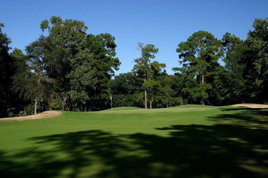 Natural landscape and outdoor views near  in Charleston (Image 70).