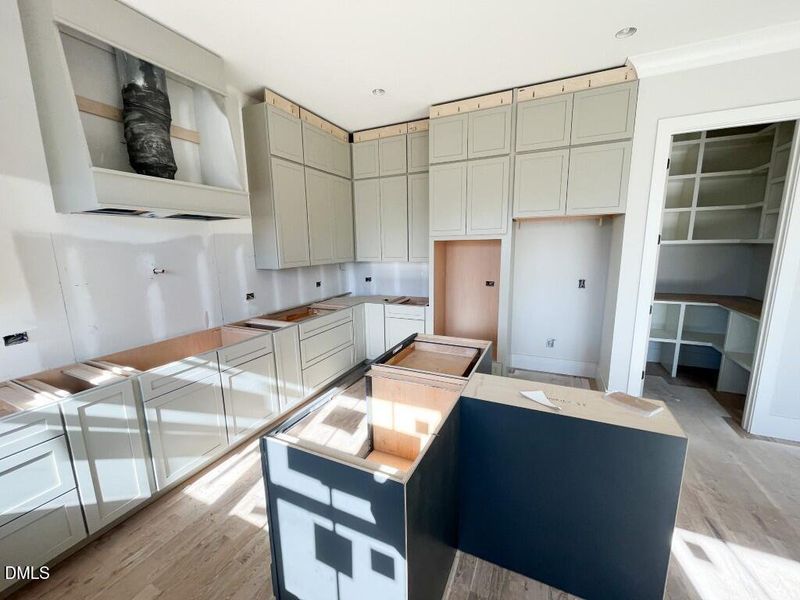 Photo Jan 13 2026, 11 43 07 AM (Medium)