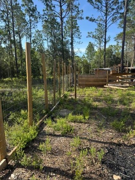Natural landscape and outdoor views near in Dunnellon (Image 26). Natural landscape and outdoor views near in Dunnellon (Image 26).