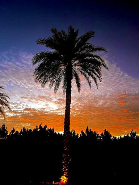 Natural landscape and outdoor views near in Davenport (Image 32). Natural landscape and outdoor views near in Davenport (Image 32).