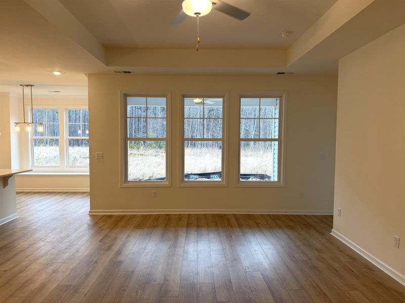 Spacious, unfurnished interior of a new home in King Farm Estates, Aynor (Image 8).