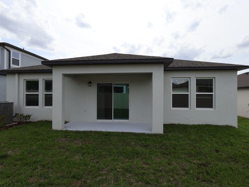 Back Exterior