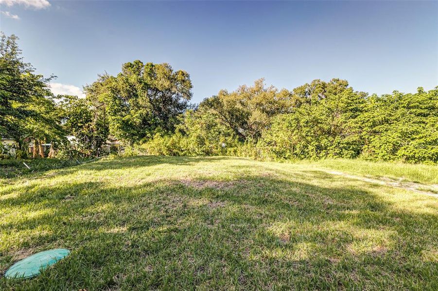 Natural landscape and outdoor views near  in Lakeland (Image 24).