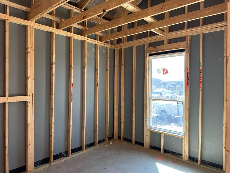 225 Coyote Willow Way - Under Construction