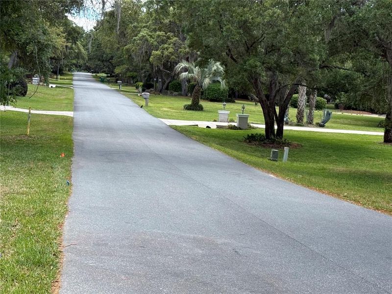 Natural landscape and outdoor views near  in Hernando (Image 57).