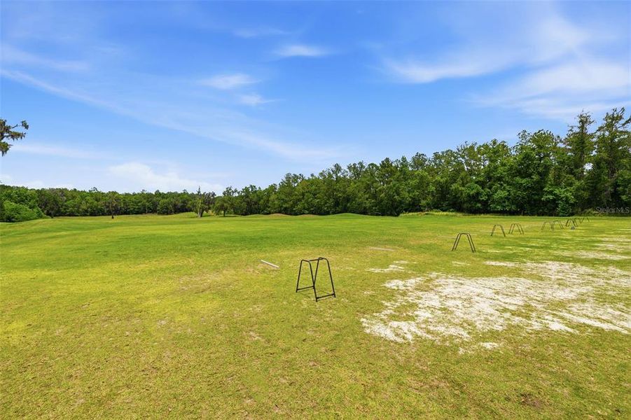 Natural landscape and outdoor views near  in Brooksville (Image 35).
