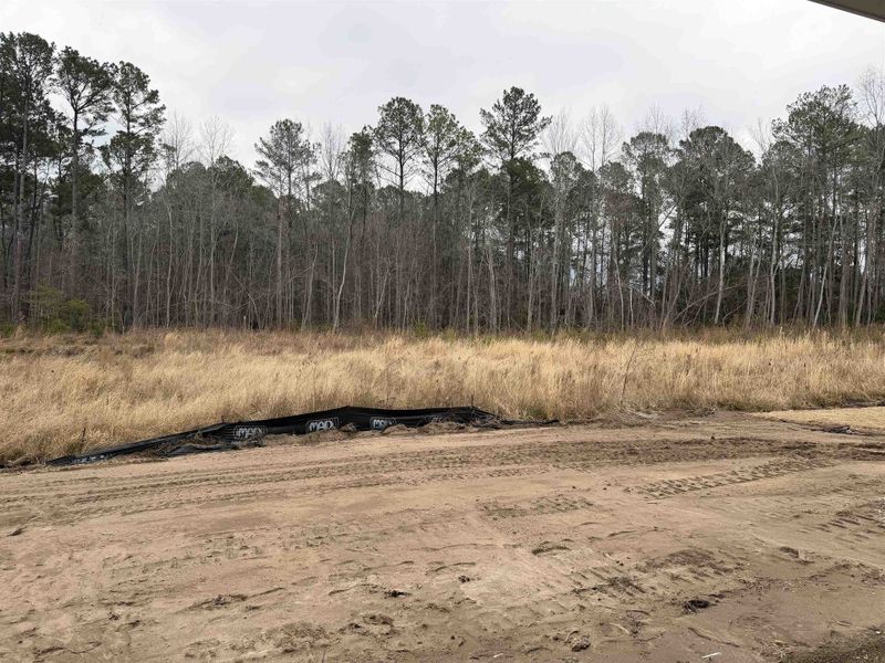 Site preparation for new homesites in King Farm Estates, Aynor (Image 16).