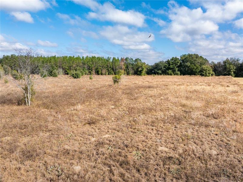 Image 42 of a home in .