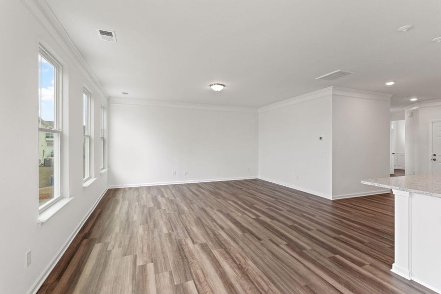 Spacious, unfurnished interior of a new home in Bellevue, Greenville (Image 19).