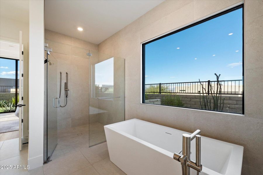 Soaking Tub & Walk-In Shower
