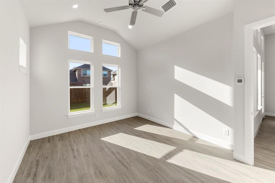 16_17. 1201 Century Tree - Primary