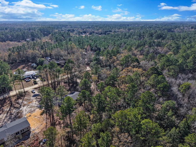 Natural landscape and outdoor views near  in Walterboro (Image 26).