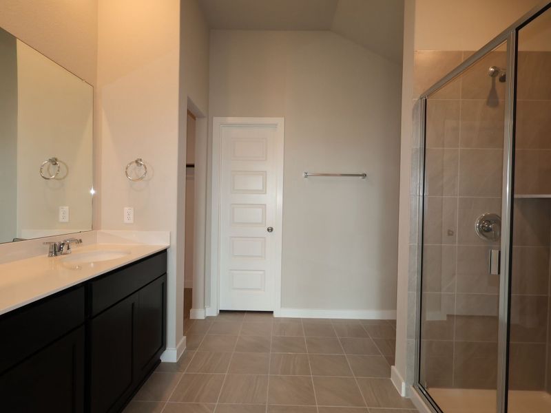 Owner's Bathroom
