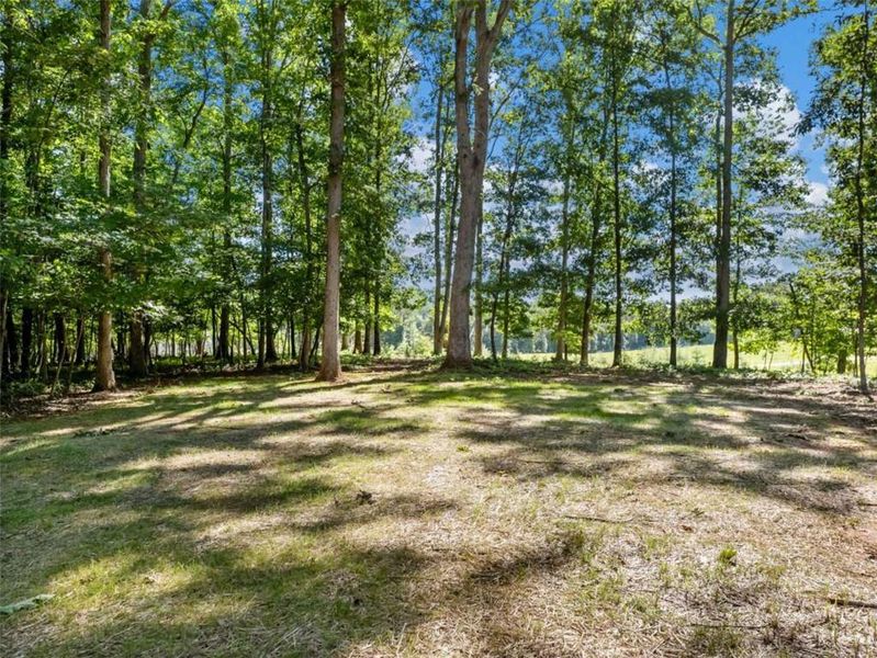 Natural landscape and outdoor views near in Cleveland (Image 40). Natural landscape and outdoor views near in Cleveland (Image 40).