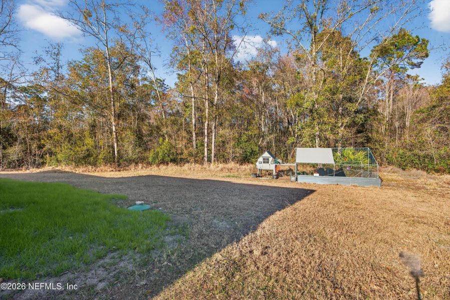 Natural landscape and outdoor views near  in Middleburg (Image 31).