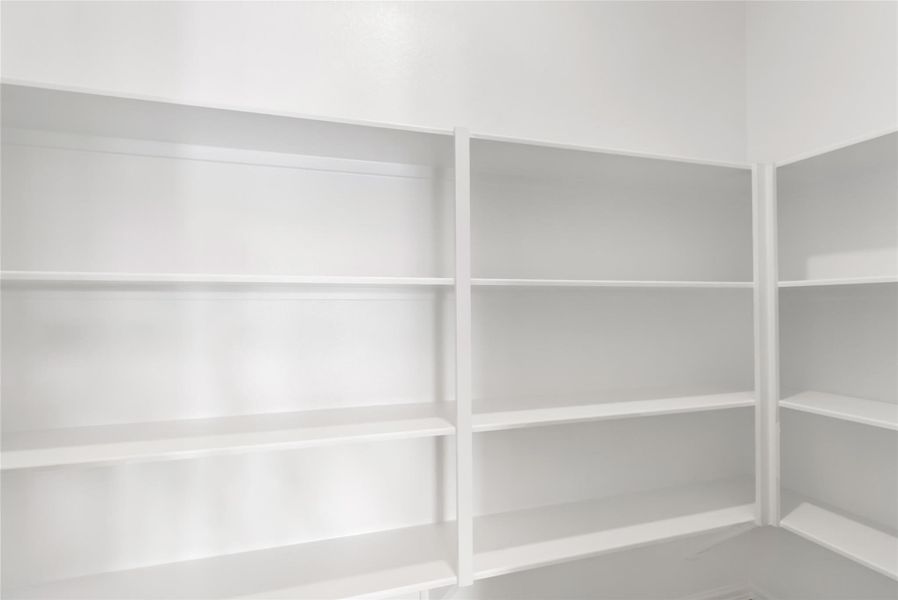 Walk in pantry. Walk in pantry.