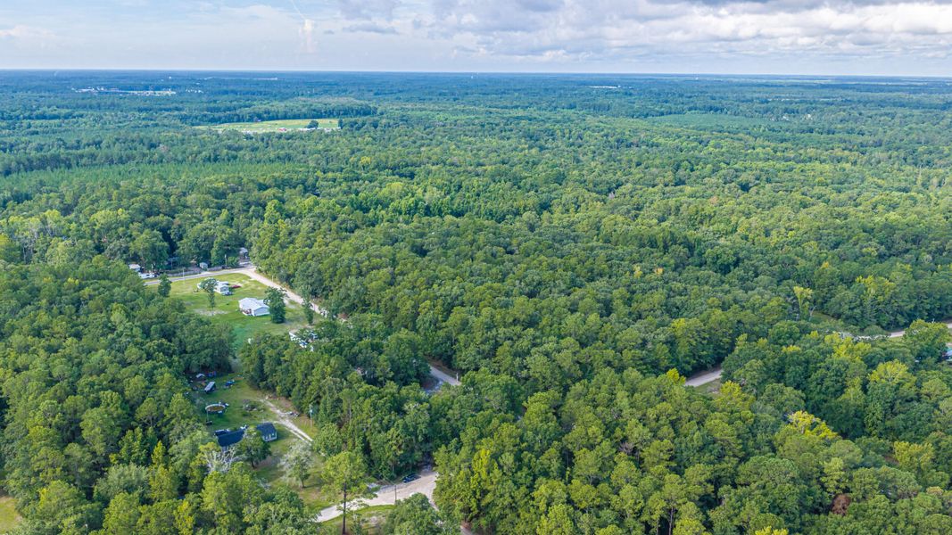 Natural landscape and outdoor views near  in Walterboro (Image 70).
