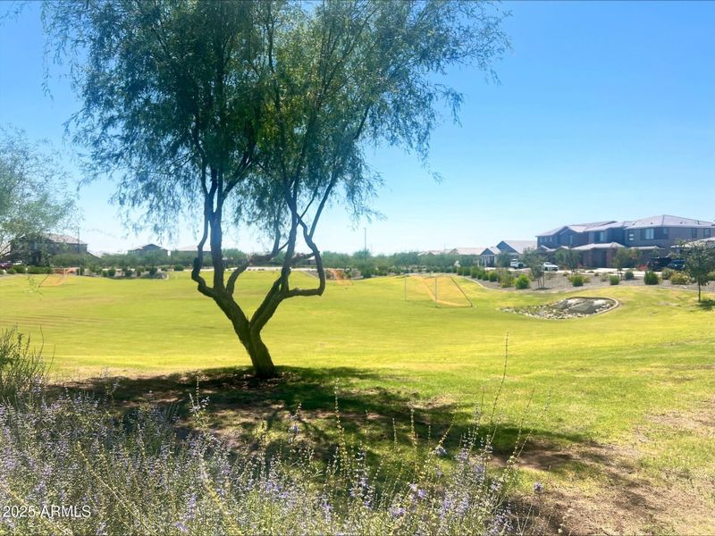 processed-FC068BB5-6B6E-41D2-ADE0-08B25A processed-FC068BB5-6B6E-41D2-ADE0-08B25A