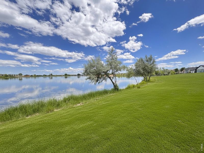 Natural landscape and outdoor views near  in Windsor (Image 27).