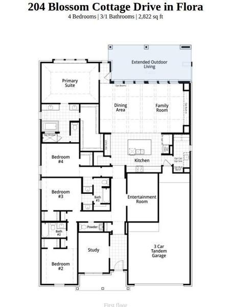 2D floor plan layout of this home in Flora, Hutto, TX (Image 3).