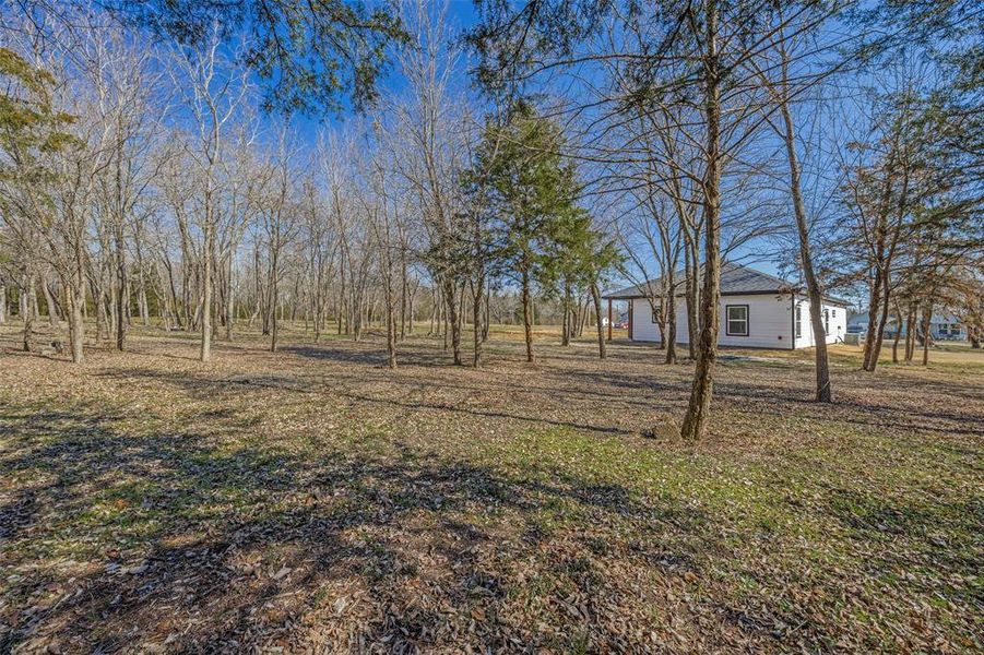 Natural landscape and outdoor views near  in Greenville (Image 25).