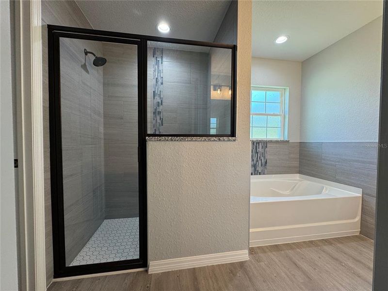 Furnished interior view inside a new home in , Ocala (Image 9).