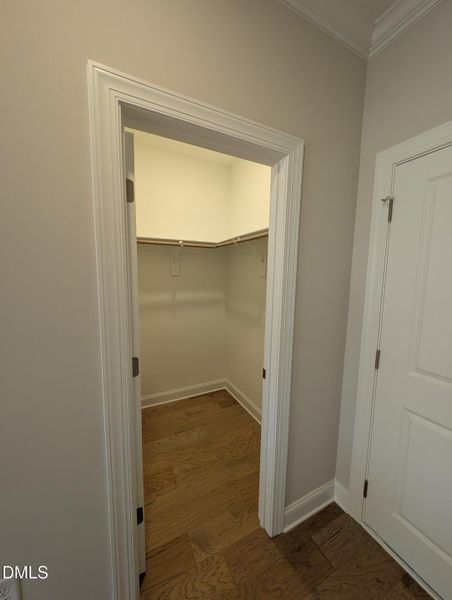 PXL_20251120_142651202 PXL_20251120_142651202