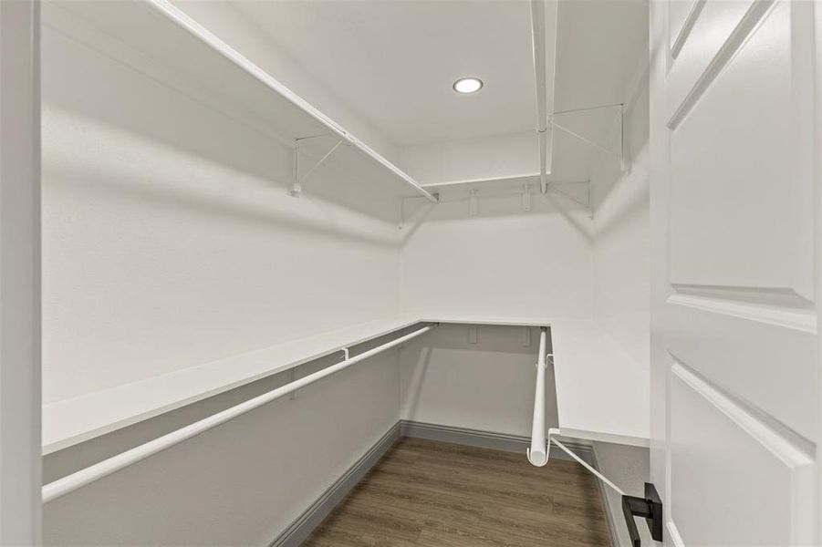 Walk in closet with dark wood finished floors