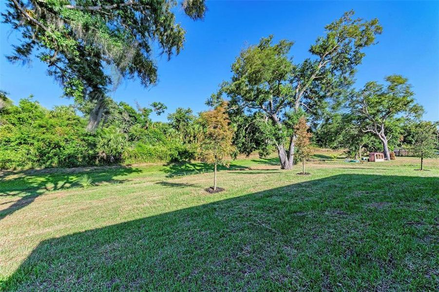 Natural landscape and outdoor views near  in North Port (Image 65).