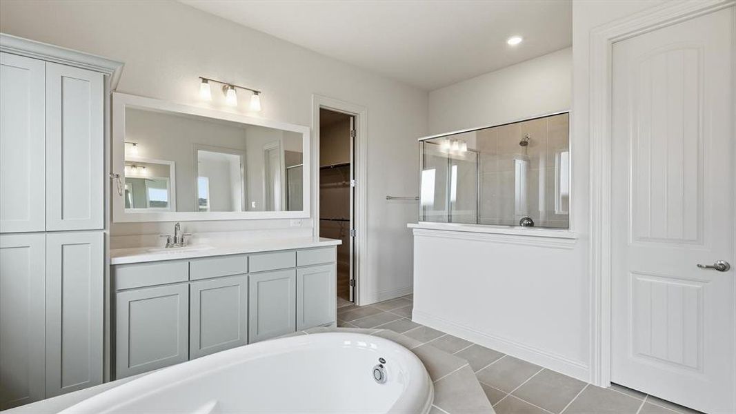 Spacious bathroom featuring a built-in soaking tub, separate shower with glass enclosure, dual vanity with undermount sinks, and ample cabinetry with light gray finishes