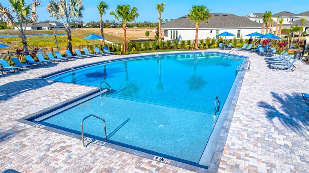 Community amenities in Indigo Creek, Apollo Beach (Image 61).