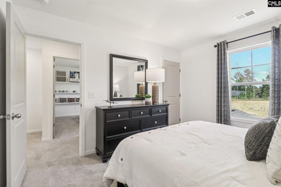 Furnished interior view inside a new home in Boykin Hills, Chapin (Image 31).