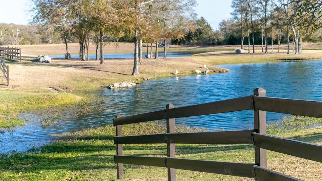 Natural landscape and outdoor views near The Colony in Bastrop (Image 8).