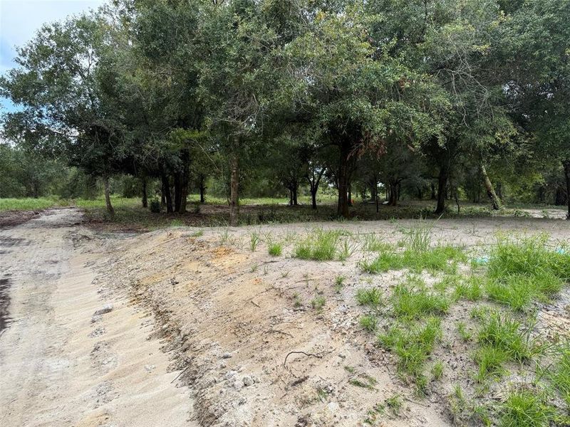 Natural landscape and outdoor views near  in Okeechobee (Image 14).