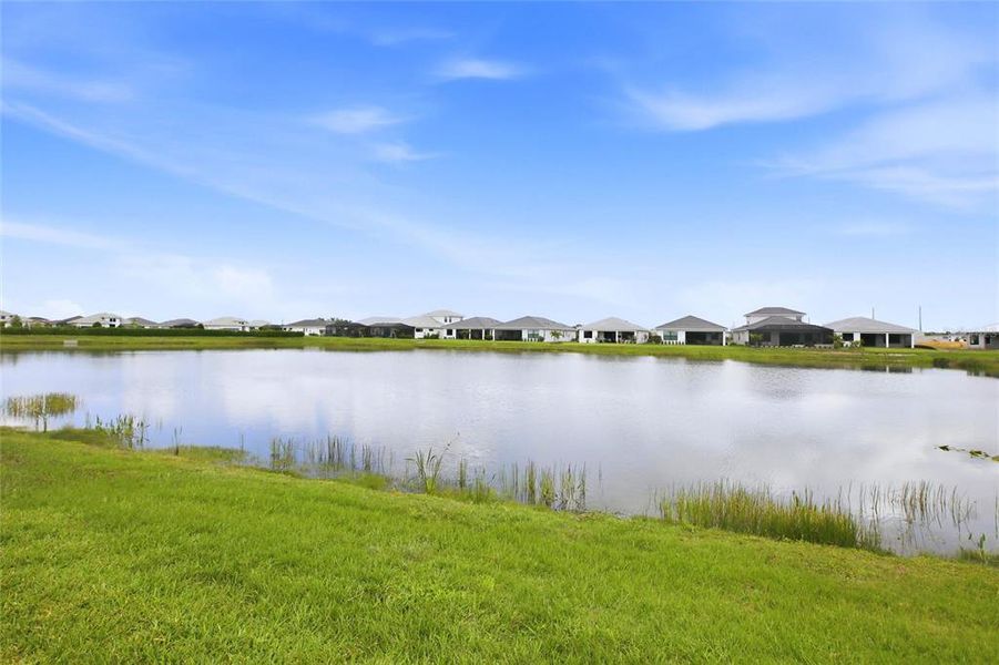 Natural landscape and outdoor views near  in Bradenton (Image 43).