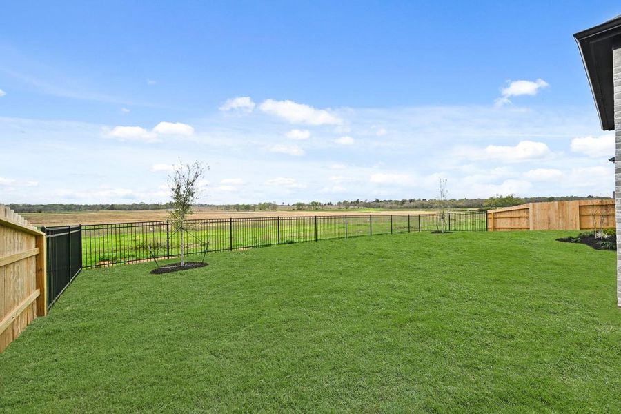 Backyard with No Rear Neighbors