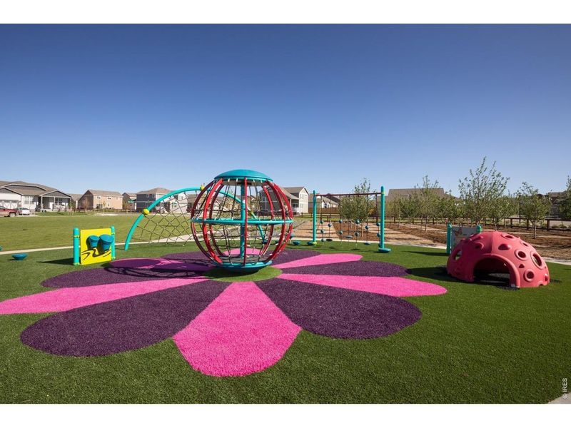 Community amenities in RainDance, Windsor (Image 31).