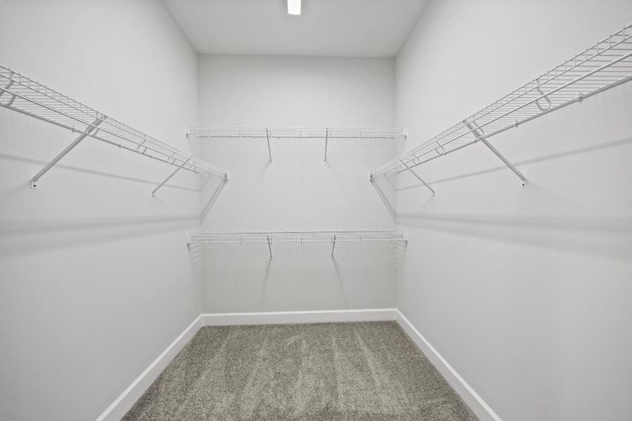 37_0o1a0495 37_0o1a0495